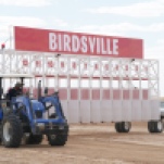 Birdsville-Max- 280